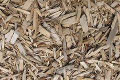 biomass boilers Coundongate